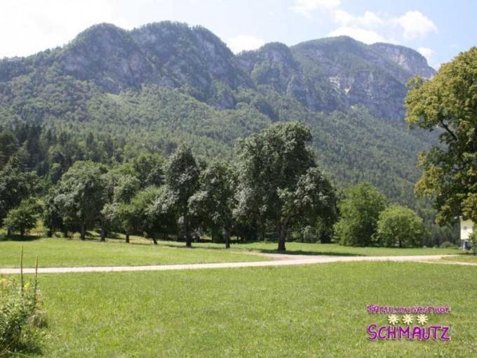 Schmautz Ferienwohnungen & Zimmer Miklauzhof ภายนอก รูปภาพ